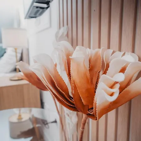 O Perchoir Des Reves Au Centre * Millau